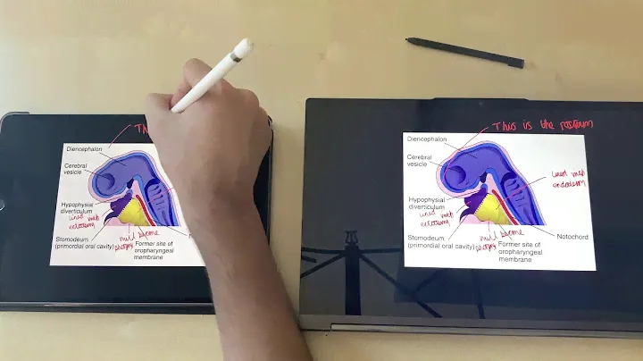 Lenovo Yoga C940 против iPad Pro для заметок — Windows 10 против iPadOS