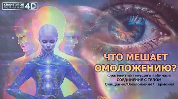 ЧТО СТАРИТ НАШИ  ТЕЛА/ WHAT MAKES OUR BODIES AGE